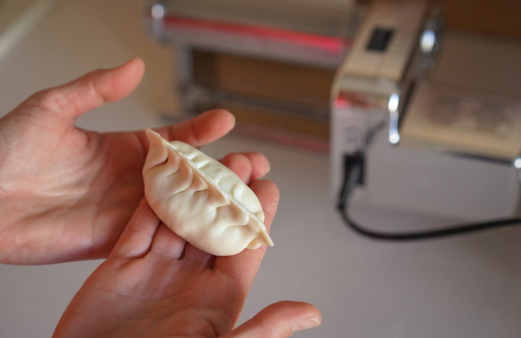 Japanese Gyoza recipe by Gosto Lagos